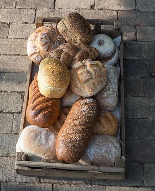 Bread & Rolls