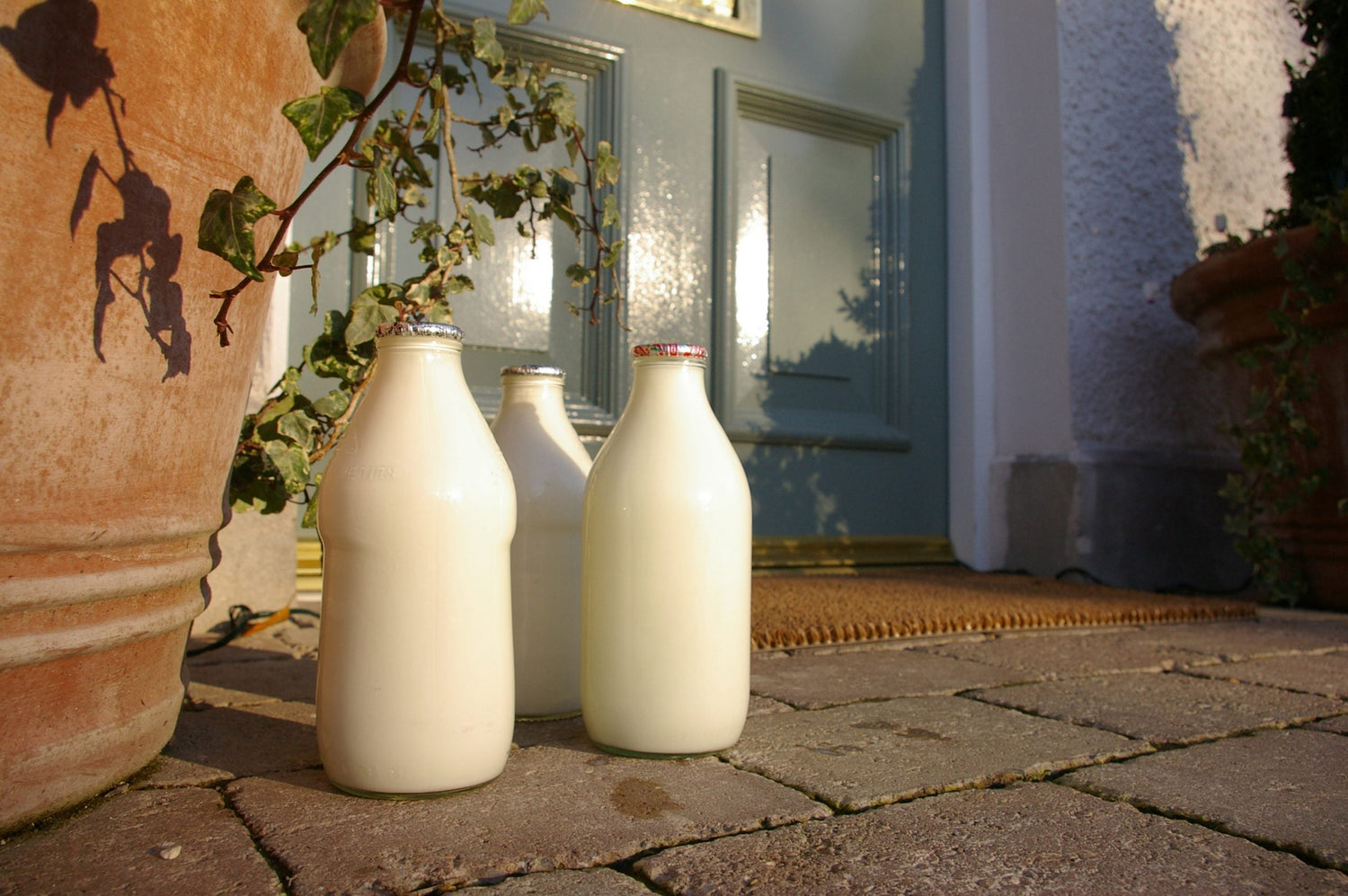 Organic Milk