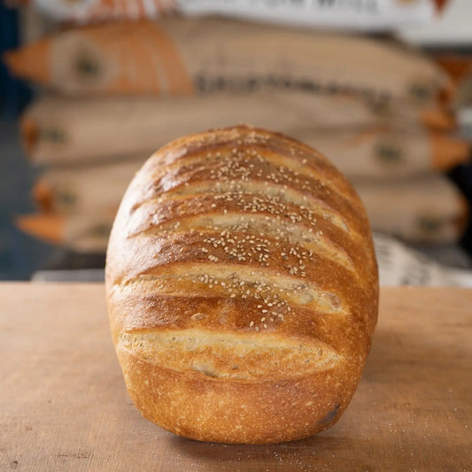 Taylors | Sesame Bloomer Karava Dairy