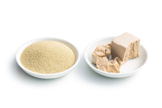 Taylors | Fresh Yeast 100g Karava Dairy